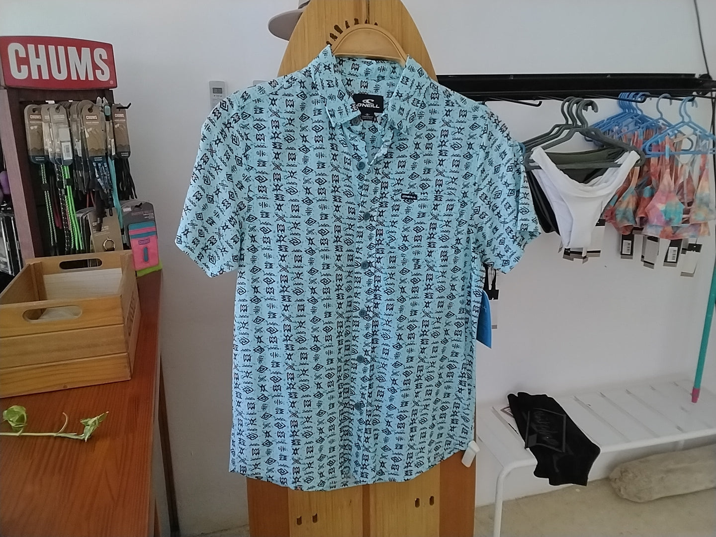 Oneill oasis eco